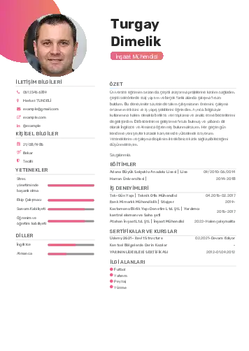 İnşaat Mühendisi Cv Örnekleri cv indir